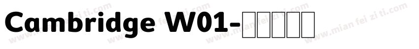 Cambridge W01字体转换